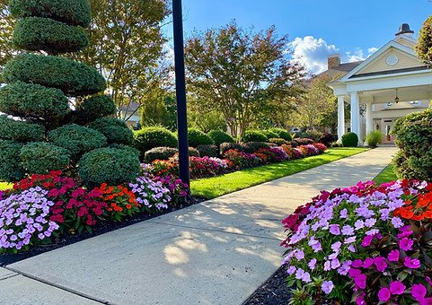 Professionally maintained paved walkway lined with vibrant flowers leading to a building entrance. | Down To Earth Landscaping | Jackson New Jersey, USA (732) 833-7702