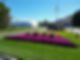 Vibrant purple flowers in triangular bed at building entrance with flagpole. | Down To Earth Landscaping | Jackson New Jersey, USA (732) 833-7702