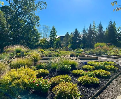 Vibrant ornamental garden with diverse plants, shrubs, and a gravel path. | Down To Earth Landscaping | Jackson New Jersey, USA (732) 833-7702