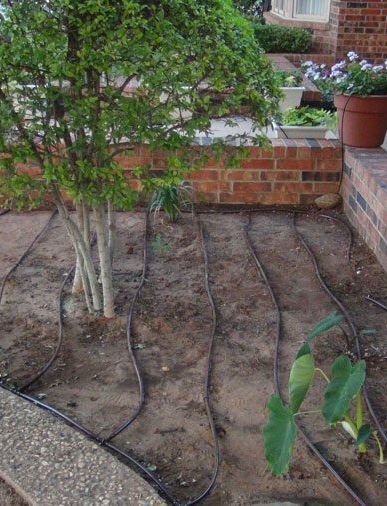 Tree planting services