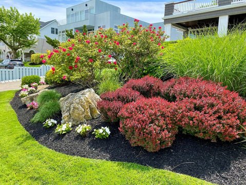 Vibrant landscaped residential garden showcasing red foliage and modern white house. Residential landscaping near me| Down To Earth Landscaping | Jackson New Jersey, USA (732) 833-7702