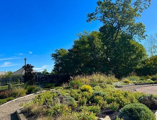 Seasonal landscape cleanup for municipal building with gravel, lush shrubbery and tall tress, municipal maintenance | Down To Earth Landscaping | Jackson New Jersey, USA (732) 833-7702